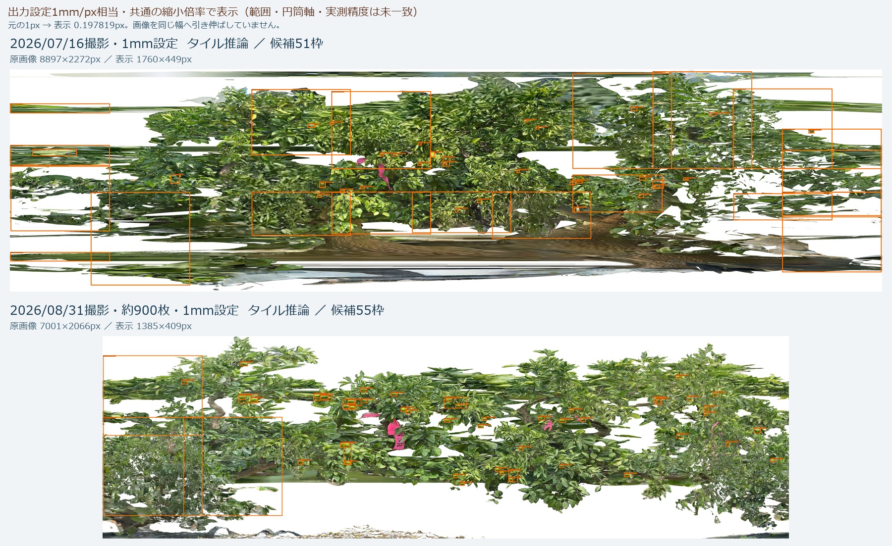 7月16日と8月31日の円筒展開画像に検出枠を重ねた比較。8月31日は実の位置に沿った枠が残る