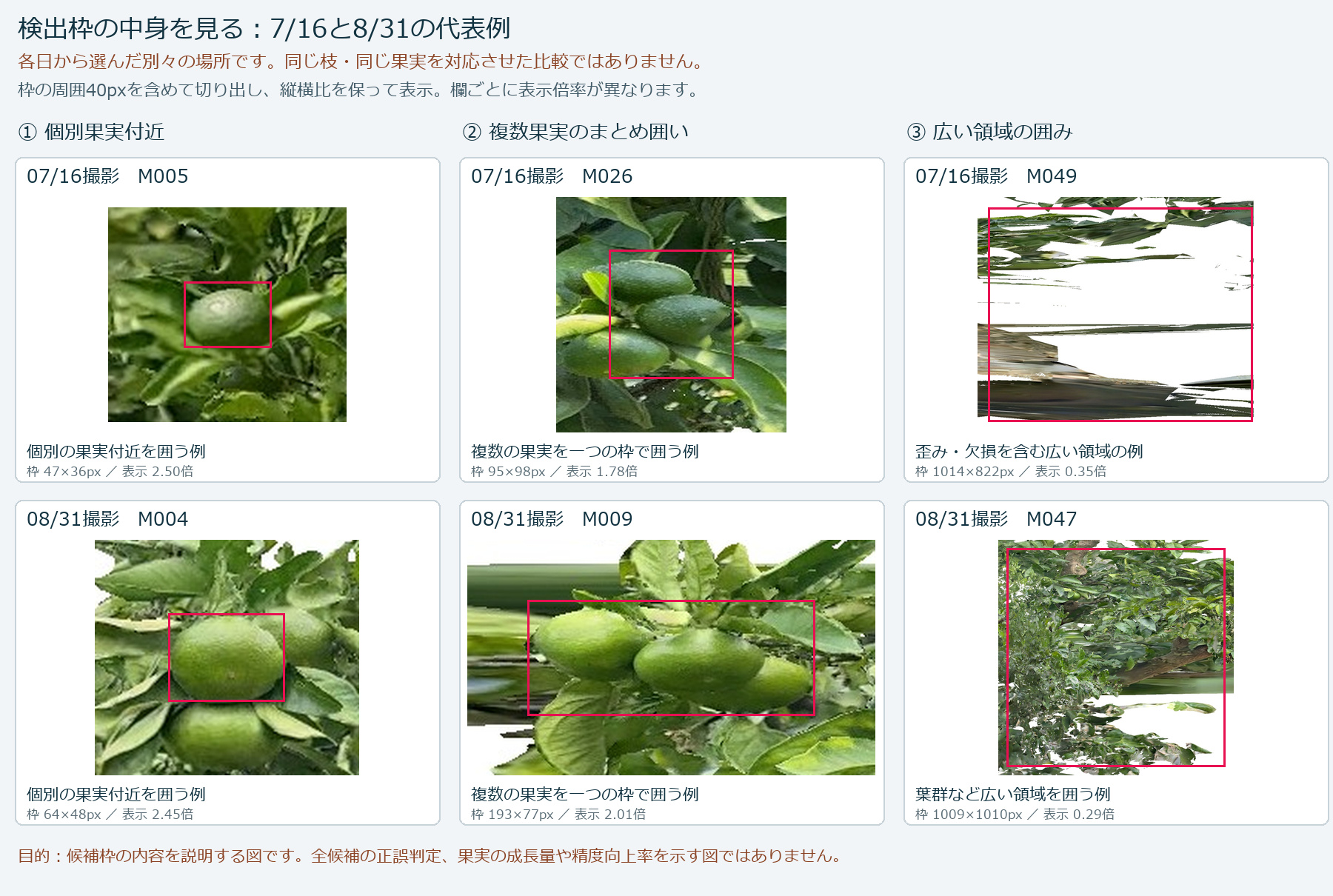 検出枠の中身を切り出して並べた図。個別の果実、複数の果実のまとめ囲い、広い領域の囲みの3パターン